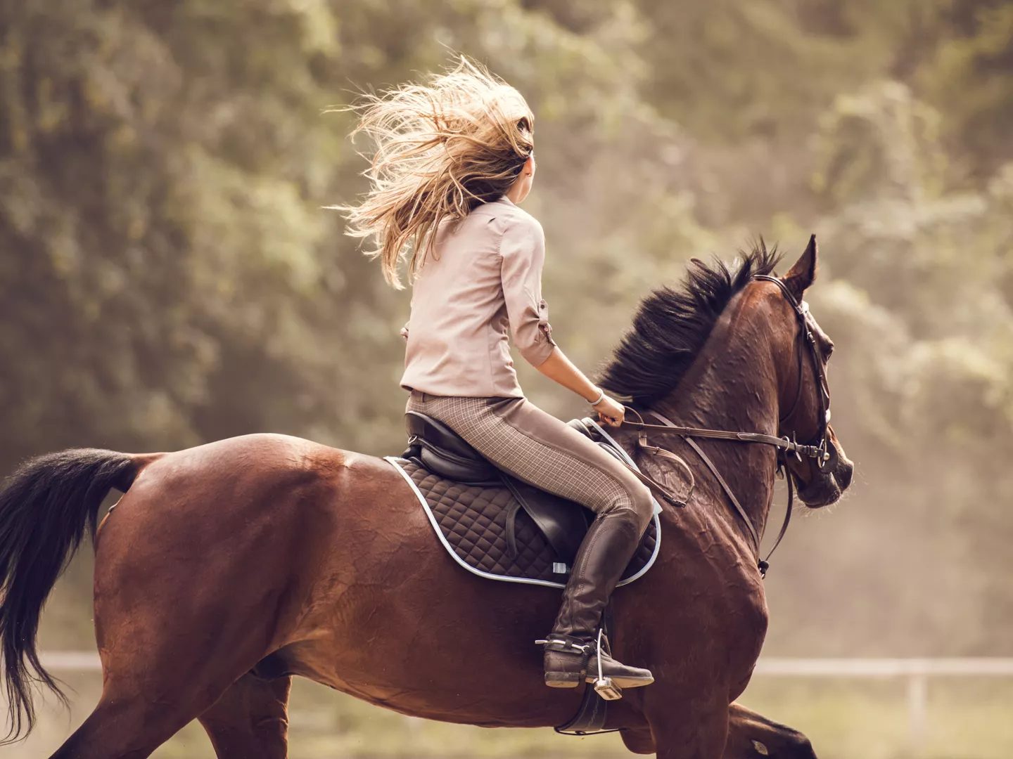 Is Horseback Riding Harmful to Women? Andrew Weil, M.D.